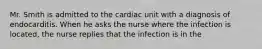 Mr. Smith is admitted to the cardiac unit with a diagnosis of endocarditis. When he asks the nurse where the infection is located, the nurse replies that the infection is in the