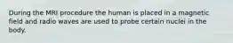 During the MRI procedure the human is placed in a magnetic field and radio waves are used to probe certain nuclei in the body.