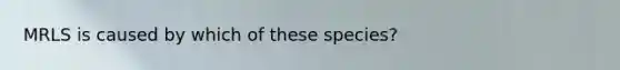 MRLS is caused by which of these species?