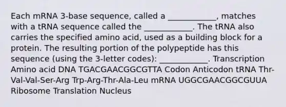 Each mRNA 3-base sequence, called a ____________, matches with a tRNA sequence called the ____________. The tRNA also carries the specified amino acid, used as a building block for a protein. The resulting portion of the polypeptide has this sequence (using the 3-letter codes): ____________. Transcription Amino acid DNA TGACGAACGGCGTTA Codon Anticodon tRNA Thr-Val-Val-Ser-Arg Trp-Arg-Thr-Ala-Leu mRNA UGGCGAACGGCGUUA Ribosome Translation Nucleus