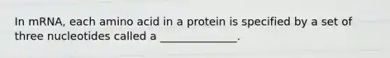 In mRNA, each amino acid in a protein is specified by a set of three nucleotides called a ______________.