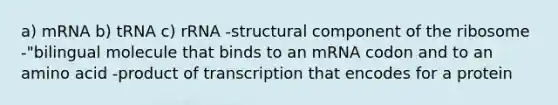 a) mRNA b) tRNA c) rRNA -structural component of the ribosome -"bilingual molecule that binds to an mRNA codon and to an amino acid -product of transcription that encodes for a protein