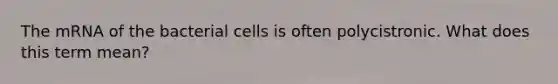 The mRNA of the bacterial cells is often polycistronic. What does this term mean?