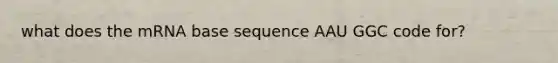 what does the mRNA base sequence AAU GGC code for?