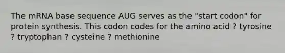 The mRNA base sequence AUG serves as the "start codon" for <a href='https://www.questionai.com/knowledge/kVyphSdCnD-protein-synthesis' class='anchor-knowledge'>protein synthesis</a>. This codon codes for the amino acid ? tyrosine ? tryptophan ? cysteine ? methionine