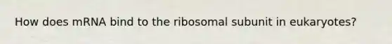 How does mRNA bind to the ribosomal subunit in eukaryotes?