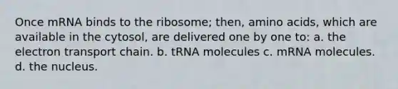 Once mRNA binds to the ribosome; then, <a href='https://www.questionai.com/knowledge/k9gb720LCl-amino-acids' class='anchor-knowledge'>amino acids</a>, which are available in the cytosol, are delivered one by one to: a. <a href='https://www.questionai.com/knowledge/k57oGBr0HP-the-electron-transport-chain' class='anchor-knowledge'>the electron transport chain</a>. b. tRNA molecules c. mRNA molecules. d. the nucleus.