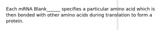 Each mRNA Blank______ specifies a particular amino acid which is then bonded with other amino acids during translation to form a protein.