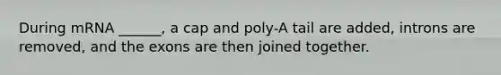 During mRNA ______, a cap and poly-A tail are added, introns are removed, and the exons are then joined together.