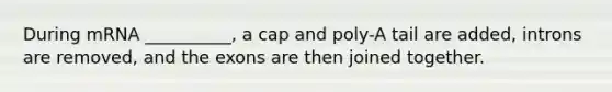 During mRNA __________, a cap and poly-A tail are added, introns are removed, and the exons are then joined together.