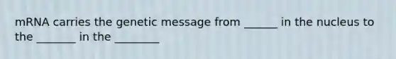 mRNA carries the genetic message from ______ in the nucleus to the _______ in the ________