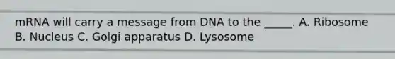 mRNA will carry a message from DNA to the _____. A. Ribosome B. Nucleus C. Golgi apparatus D. Lysosome