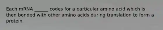 Each mRNA ______ codes for a particular amino acid which is then bonded with other amino acids during translation to form a protein.