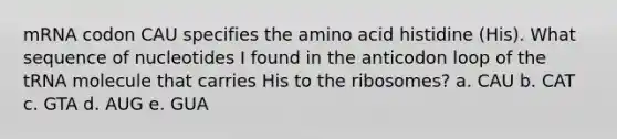 mRNA codon CAU specifies the amino acid histidine (His). What sequence of nucleotides I found in the anticodon loop of the tRNA molecule that carries His to the ribosomes? a. CAU b. CAT c. GTA d. AUG e. GUA