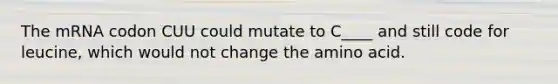 The mRNA codon CUU could mutate to C____ and still code for leucine, which would not change the amino acid.