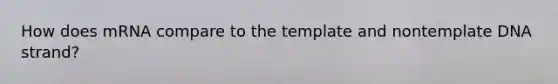 How does mRNA compare to the template and nontemplate DNA strand?