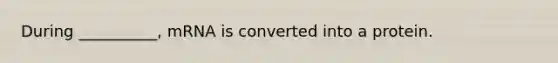 During __________, mRNA is converted into a protein.