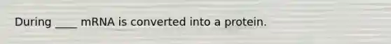 During ____ mRNA is converted into a protein.