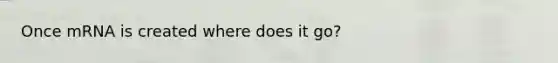 Once mRNA is created where does it go?