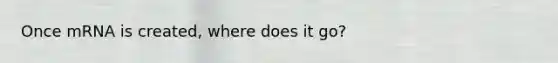 Once mRNA is created, where does it go?