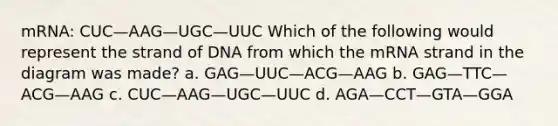 mRNA: CUC—AAG—UGC—UUC Which of the following would represent the strand of DNA from which the mRNA strand in the diagram was made? a. GAG—UUC—ACG—AAG b. GAG—TTC—ACG—AAG c. CUC—AAG—UGC—UUC d. AGA—CCT—GTA—GGA