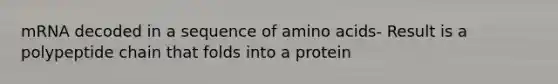 mRNA decoded in a sequence of <a href='https://www.questionai.com/knowledge/k9gb720LCl-amino-acids' class='anchor-knowledge'>amino acids</a>- Result is a polypeptide chain that folds into a protein