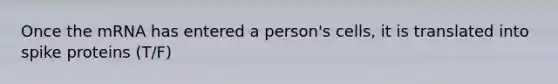 Once the mRNA has entered a person's cells, it is translated into spike proteins (T/F)