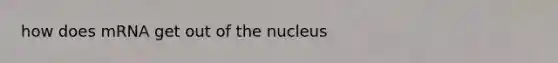 how does mRNA get out of the nucleus