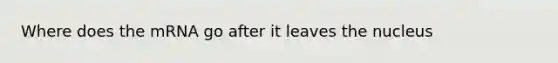 Where does the mRNA go after it leaves the nucleus