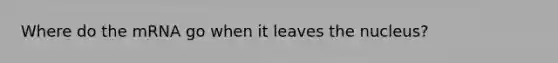Where do the mRNA go when it leaves the nucleus?