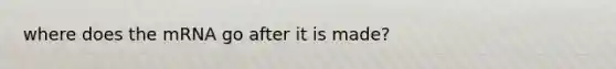 where does the mRNA go after it is made?
