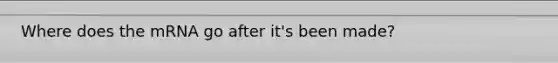 Where does the mRNA go after it's been made?
