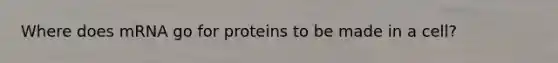 Where does mRNA go for proteins to be made in a cell?