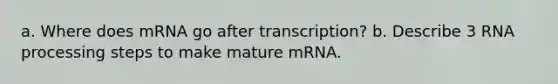 a. Where does mRNA go after transcription? b. Describe 3 RNA processing steps to make mature mRNA.