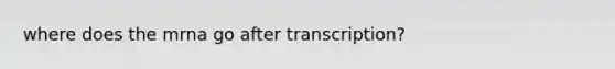 where does the mrna go after transcription?
