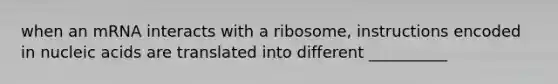 when an mRNA interacts with a ribosome, instructions encoded in nucleic acids are translated into different __________