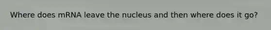 Where does mRNA leave the nucleus and then where does it go?