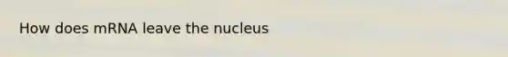 How does mRNA leave the nucleus