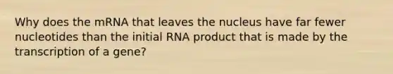 Why does the mRNA that leaves the nucleus have far fewer nucleotides than the initial RNA product that is made by the transcription of a gene?