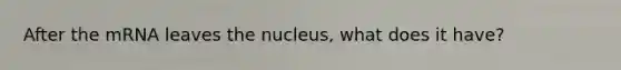 After the mRNA leaves the nucleus, what does it have?