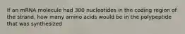 If an mRNA molecule had 300 nucleotides in the coding region of the strand, how many amino acids would be in the polypeptide that was synthesized