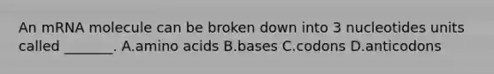 An mRNA molecule can be broken down into 3 nucleotides units called _______. A.amino acids B.bases C.codons D.anticodons