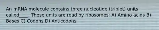 An mRNA molecule contains three nucleotide (triplet) units called____. These units are read by ribosomes: A) Amino acids B) Bases C) Codons D) Anticodons