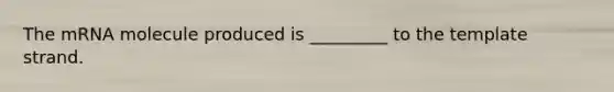 The mRNA molecule produced is _________ to the template strand.
