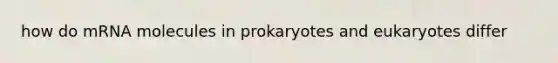 how do mRNA molecules in prokaryotes and eukaryotes differ