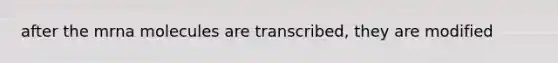 after the mrna molecules are transcribed, they are modified