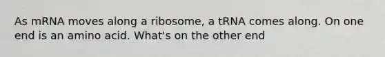 As mRNA moves along a ribosome, a tRNA comes along. On one end is an amino acid. What's on the other end