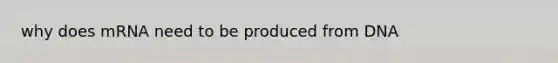 why does mRNA need to be produced from DNA