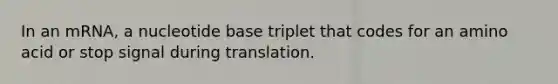 In an mRNA, a nucleotide base triplet that codes for an amino acid or stop signal during translation.