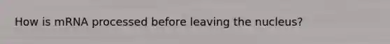How is mRNA processed before leaving the nucleus?